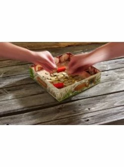 Spielzeug Haba 303337 Boom, Bang, Gold Günstig Kaufen -Haba Shop haba 303337 boom bang gold 3