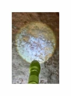 Spielzeug Haba Taschenlampe In Grün Günstig Kaufen -Haba Shop haba taschenlampe in grun 3